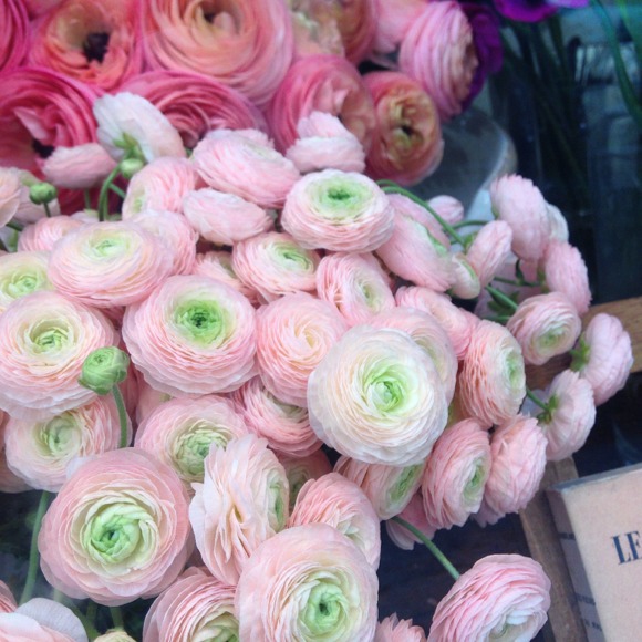 Profile Picture of Beth Boyd (@bethboyd21) on Poshmark