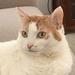 Profile Picture of Peter Neaves (@peter.neaves) on Instagram