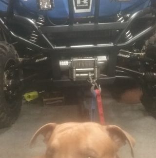 Profile Picture of Robert Jardine (@robert.jardine.988) on Facebook