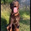 Profile Picture of Jacob Herrington (@@vc_im_a_bot) on Tiktok