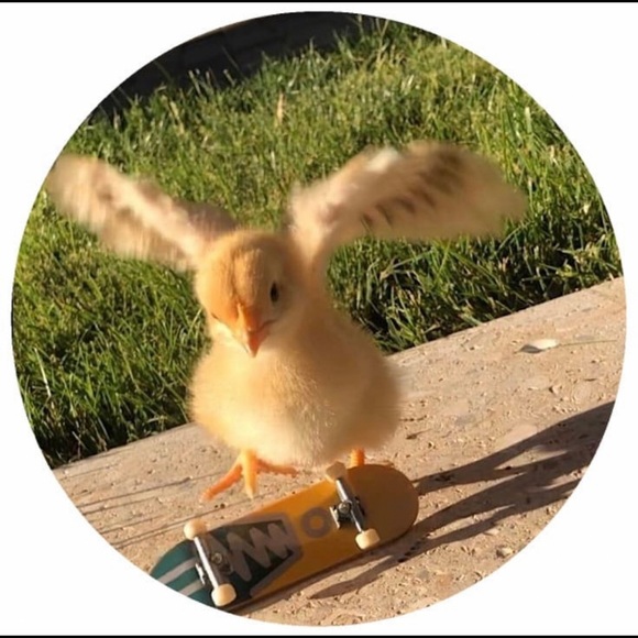 Profile Picture of Joel Rosas (@holajoel) on Poshmark