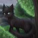 Profile Picture of Amelia Murphy (@ameli_murph879) on Pinterest