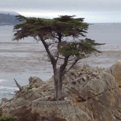 Profile Picture of Michael Tien (@MichaelTien8) on Twitter