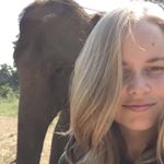 Profile Picture of Tara Daly (@tdalya) on Instagram