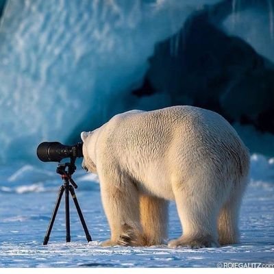 Profile Picture of Dag Henning Fredriksen (@DagHenningFred1) on Twitter