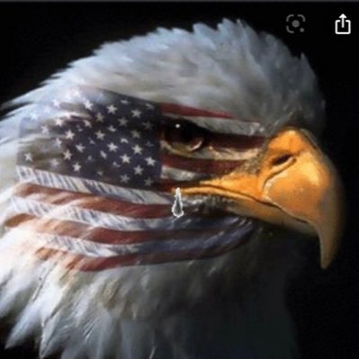 Profile Picture of Bryan Gordon (@Bgordo92) on Twitter