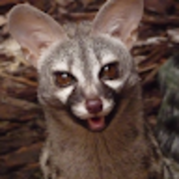 Profile Picture of Jenna Brendler (@jennabrendler) on Poshmark