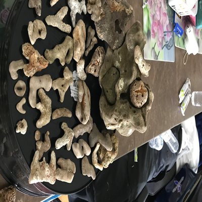 Profile Picture of David Maile (@DavidMaile8) on Twitter