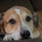 Profile Picture of Brandon Bucher (@brandon.bucher.10) on Facebook