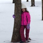 Lisa Picchi - Instagram Profile Picture of Lisa Picchi (@lpicchi) on Instagram