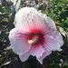 Profile Picture of Rima Patel (@rpatel14) on Pinterest