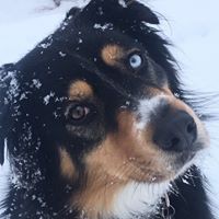 Profile Picture of Pace Toby (@pace-toby) on Quora