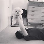 Profile Picture of Jon Ikegami (@jongami) on Instagram