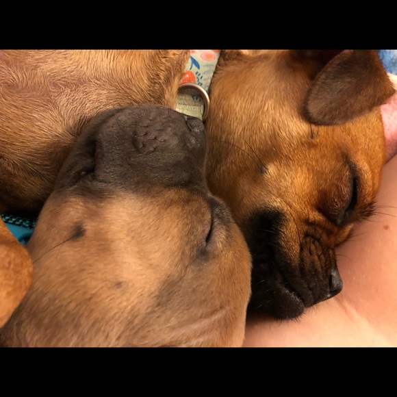 Profile Picture of Hannah Mcglue (@hannahmcglue26) on Poshmark