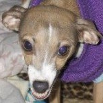 Profile Picture of Traci Hamilton Cain (@tmhcain1) on Instagram