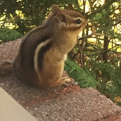 Profile Picture of Paul Goulet (@goulet_paul) on Twitter