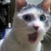 Profile Picture of Raven Thomas (@raventhomas8375) on Youtube