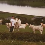 Profile Picture of Hugh Gillespie (@hugh.gillespie.315) on Instagram