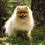 Profile Picture of Carly (@carly_grimm103) on Instagram