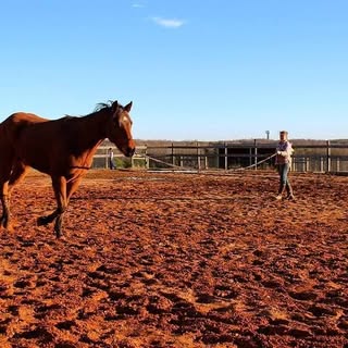 Profile Picture of Whitney McFadden (@mcfaddenwhitney) on Instagram