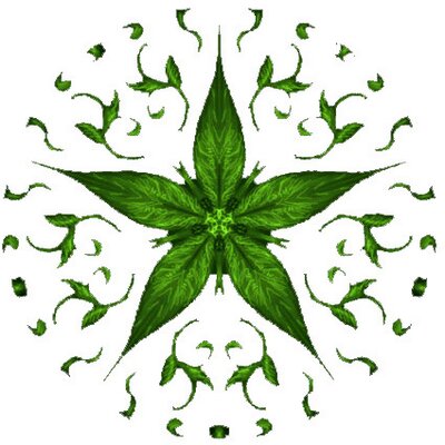 Profile Picture of Pavel Yakovlev (@GreenRussia) on Twitter