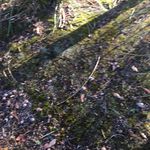 Profile Picture of Tara vincent (@taravincent20) on Instagram