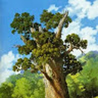 Profile Picture of Mitchell Mahoney (@mitchell-mahoney-8) on Quora