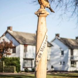 Profile Picture of Jo Janssen (@JoJanss99414653) on Twitter