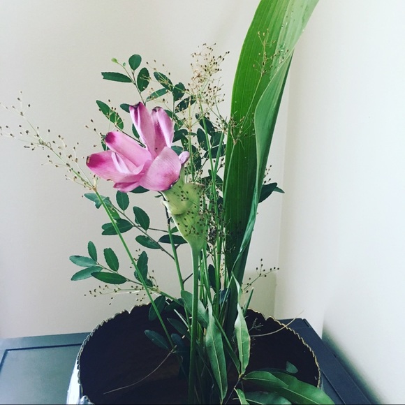 Profile Picture of Rieko Watanabe (@riek550) on Poshmark