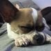 Profile Picture of Terry Enger (@terry.enger.7) on Facebook