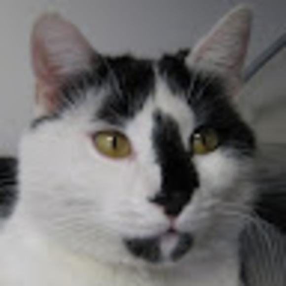 Eileen c Stoneman - Poshmark Profile Picture of Eileen c Stoneman (@ecstoneman) on Poshmark