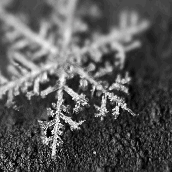 Liz Libbon - Poshmark Profile Picture of Liz Libbon (@lizlibbon) on Poshmark