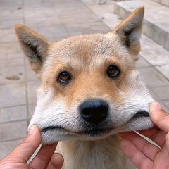 Profile Picture of Griggs David (@griggs.david) on Tiktok