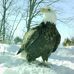 Profile Picture of Tom Wiley (@tom.wiley.5680) on Facebook
