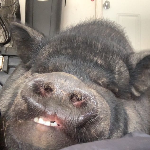 Profile Picture of Nathan Merkle (@miguel1023101) on Tiktok