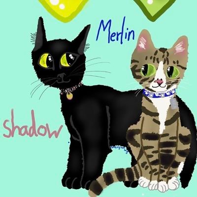 Profile Picture of Misty Orner #WearADamnMask (@modriver88fan) on Twitter