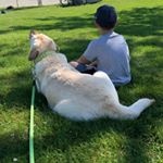 Profile Picture of Andrew Langlois (@aslanglois) on Instagram