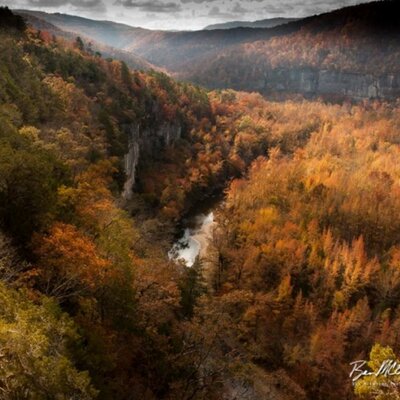 Profile Picture of Ben McEntire (@@BenMcEntire) on Twitter
