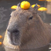 Profile Picture of Jonah Herchenroder (@Capybara29481) on Youtube