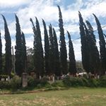 Profile Picture of Daniel Canedo (@daniel.canedo.733) on Instagram