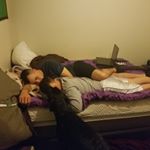 Chris Oden - Instagram Profile Picture of Chris Oden (@ultimatewolfx) on Instagram