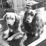 Profile Picture of Birgitta Andersson (@53bia) on Instagram