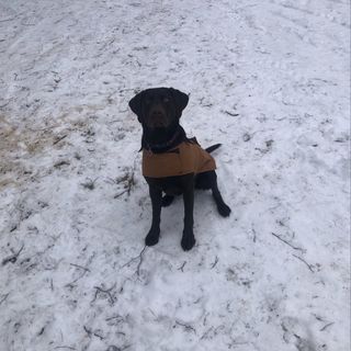 Profile Picture of Jacob Lalonde (@jacobl20) on Instagram