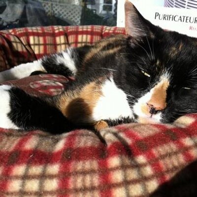 Profile Picture of Paula McLean (@McLeanPmcdot66) on Twitter