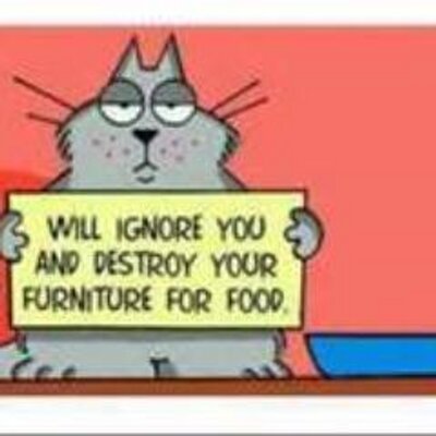 Profile Picture of Matt.milnes (@mattmilnes141) on Twitter