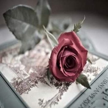 Profile Picture of Jawaher (@amert22alhoB) on Twitter