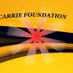 Profile Picture of Carrie Foundation (@CarrieCaresUSA) on Twitter