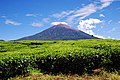 Profile Picture of Kerinci Seblat National Parkon Wikipedia