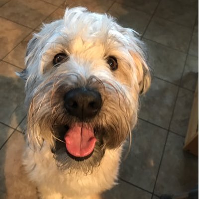 Profile Picture of Robert Marinelli (@Robmarinelli4) on Twitter