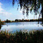 Profile Picture of Gustavo Almodovar (@jmoincjhaoy) on Instagram